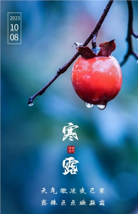 微信图片_20241008151343.png