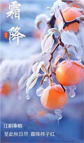 微信图片_20241024112529(1)(1).png