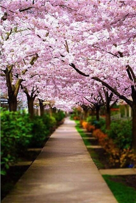 雾霾如此难治，企业能为雾霾做些什么？