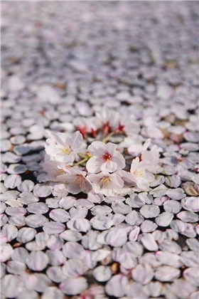 雾霾如此难治，企业能为雾霾做些什么？