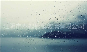 暴雨天，当玻璃遇上霉斑