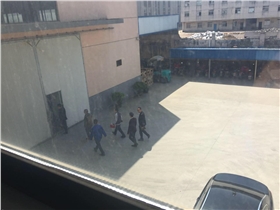泰榕 泰榕