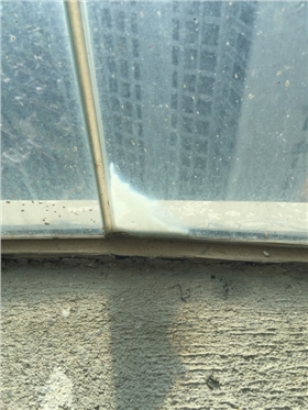 112724prluffhiqhcgo9bx.jpg.thumb.jpg 112724prluffhiqhcgo9bx.jpg.thumb.jpg