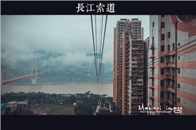 泰榕 泰榕