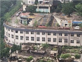 泰榕 泰榕