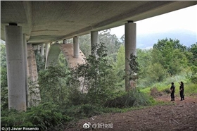 泰榕 泰榕